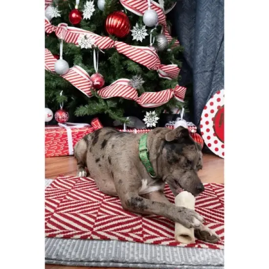 Country Brook Petz Candy Cane Christmas Martingale Dog Collar image {2}