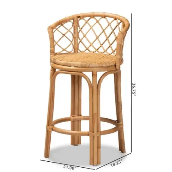 Orchard Rattan Counter Height Barstool Natural/Brown - bali & pari image {7}