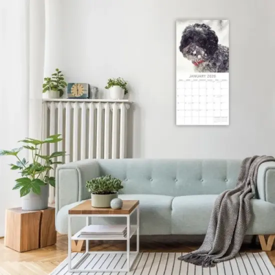 2026 Square Wall Calendar, Cockapoos, 16-Month Animals Theme with 180 Reminder Stickers (12x12 In) image {1}