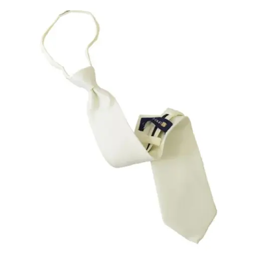 Men's Solid Color Pre-tied Zipper Necktie image {28}