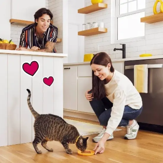 Temptations Pate in Gravy Seafood and Chicken Flavor Wet Cat Food - 12ct image {3}