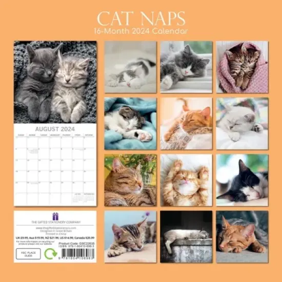 The Gifted Stationery 2024 Square Wall Calendar, Cat Naps, 16-Month Animals Theme with 180 Reminder Stickers (12 x 12 In) image {3}