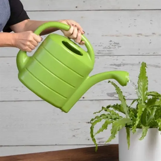 Novelty Deluxe Plastic Watering Can, 2 Gallons image {4}