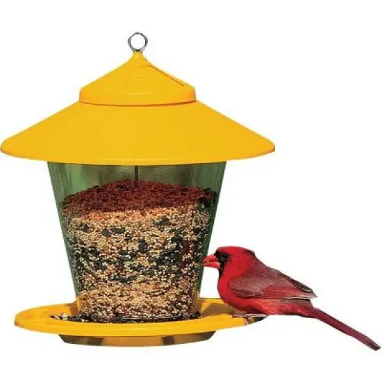 Cherry Valley Plastic Hopper Bird Feeder, 4 Lb. image {1}