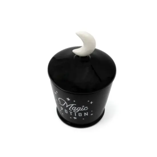 Novelty Ceramic Vessels Magic Potion with Lid- Bullseye's Playground&trade; image {1}