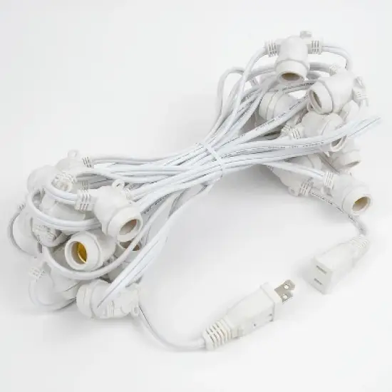 Novelty Lights Globe Outdoor String Lights with 25 In-Line Sockets White Wire 25 Feet image {4}