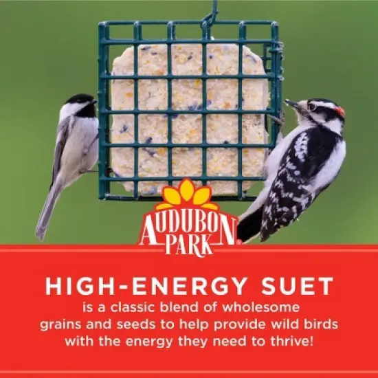 Audubon Park 11oz High Energy Suet Wild Bird Food image {2}