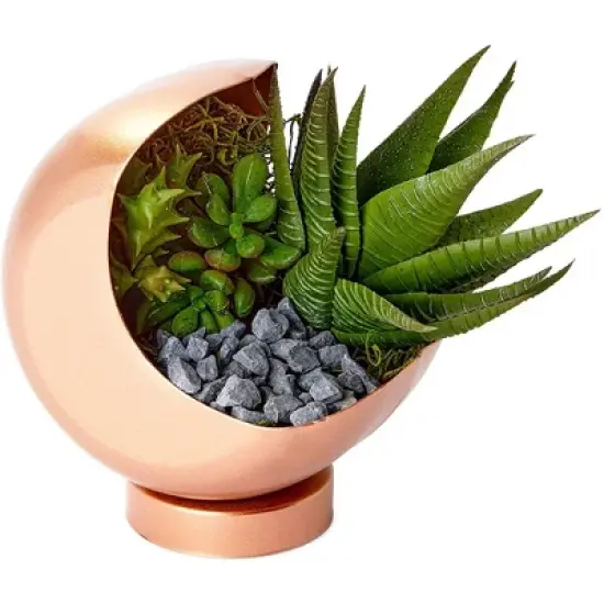 Farmlyn Creek Decorative Rocks for Planters, Vase, Aquarium, and Terrariums, Black, 2lbs image {2}