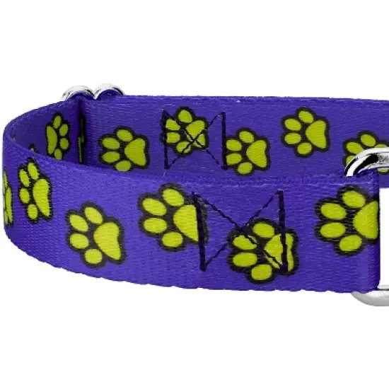 Country Brook Petz Blue Busy Paws Martingale Dog Collar and Leash Limited Edition image {3}