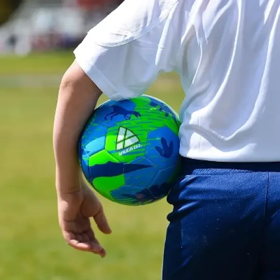 Vizari Dino Soccer Balls image {3}
