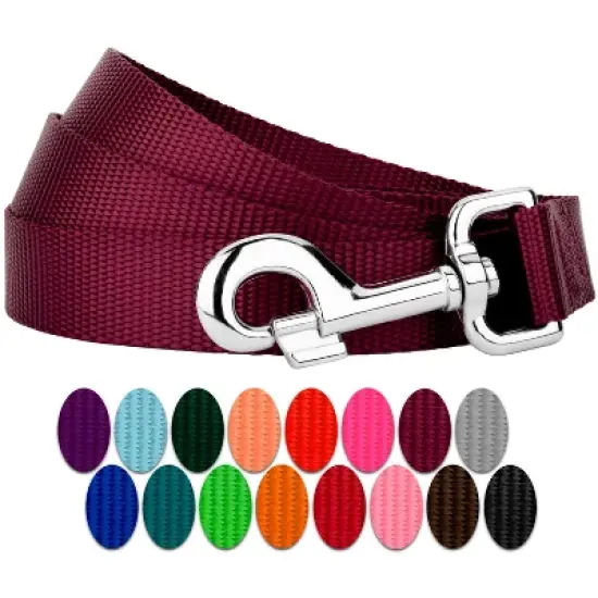 Country Brook Petz 6ft By 3/4 Inch Heavyduty Doublehandle Nylon Leash image {9}