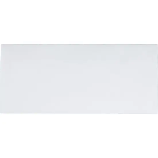 Business Source Regular Business Envelopes image {2}