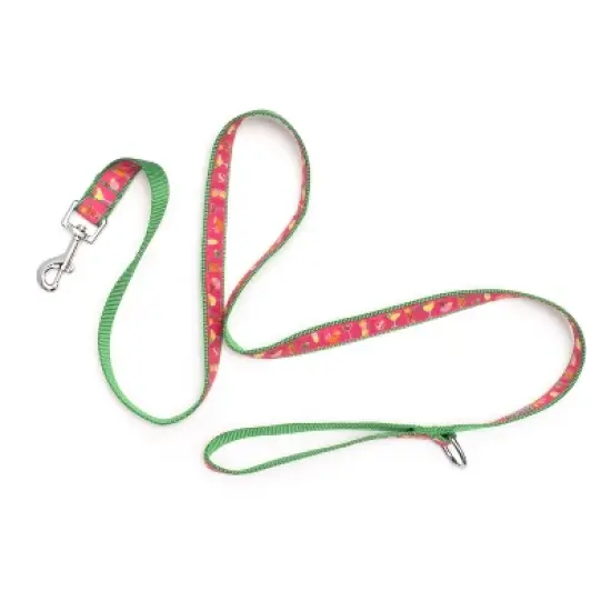 The Worthy Dog Summer Cheer Pet Leash image {1}