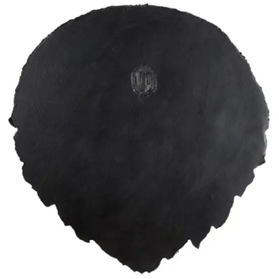 Design Toscano American Black Bear Sculptural Wall Trophy image {5}