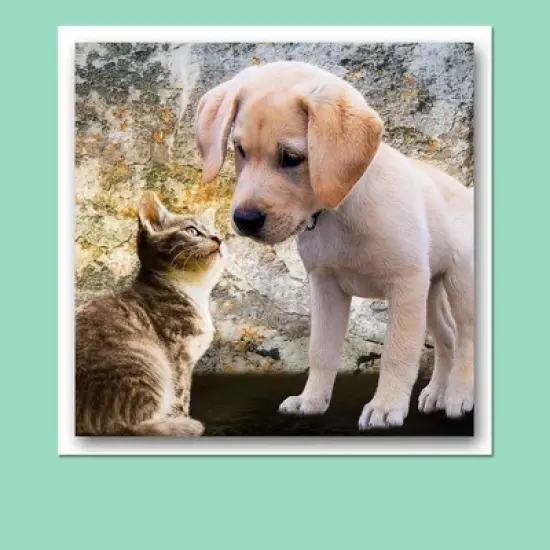 Hamilco Colored Scrapbook Cardstock Paper 12x12 Card Stock Paper 65 lb Cover 25 Pack (Sun Gold) image {2}