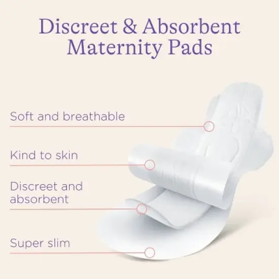 Lansinoh Postpastrum Breast Pads Bundle - 40ct image {2}