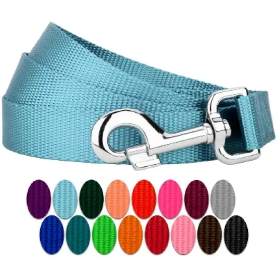 Country Brook Petz 6ft By 3/4 Inch Heavyduty Doublehandle Nylon Leash image {16}