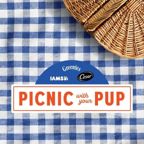 Cesar Filets in Gravy Variety Pack Small Breed Wet Dog Food - 3.5oz/12ct image {11}