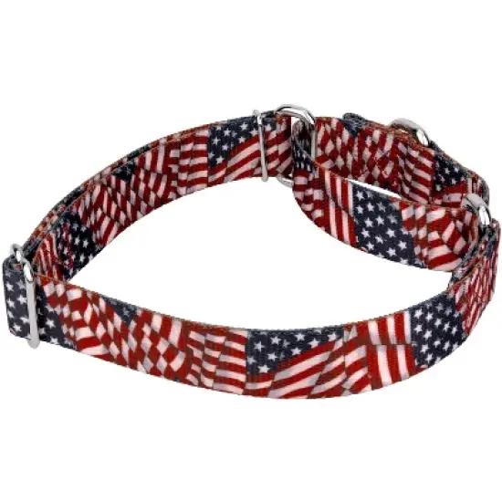 Country Brook Petz Patriotic Tribute Martingale Dog Collar and Leash image {2}