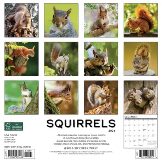 Willow Creek Press 2024 Wall Calendar 12"x12" Squirrels image {1}