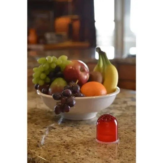 RESCUE! Indoor Non-Toxic Reusable Fruit Fly Trap with Liquid Attractant - 3 Pack (3 Traps) image {1}