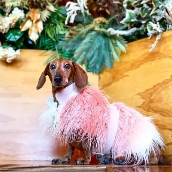 PoisePup Mink Faux-Fur Vest - Bella Rose image {2}