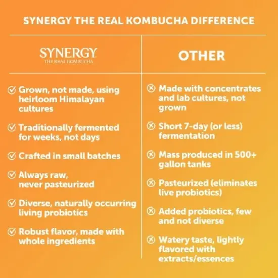 Synergy The Real Kombucha, Gingerade &ndash; 16 fl oz image {2}