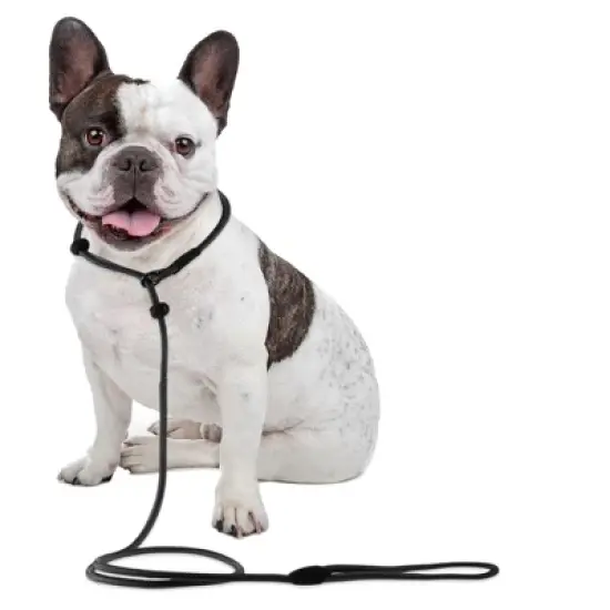 Unique Bargains Slip Leads for Dogs 1 Pc image {1}