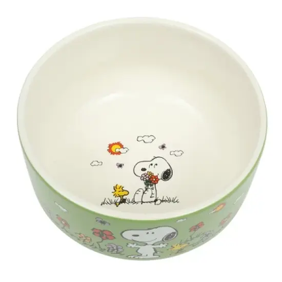 Peanuts Snoopy 6 Pack Stackable 5.5" Decorated Stoneware Bowl Set W/ Plate image {7}