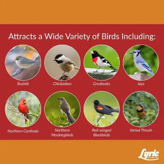 Lyric 18lb Cardinal Sunflower & Safflower Premium Wild Bird Food: Attracts Songbirds, For All Feeders image {5}