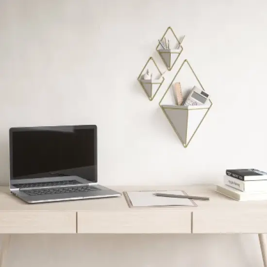 Trigg Wall Display Planter White/Brass - Umbra image {11}