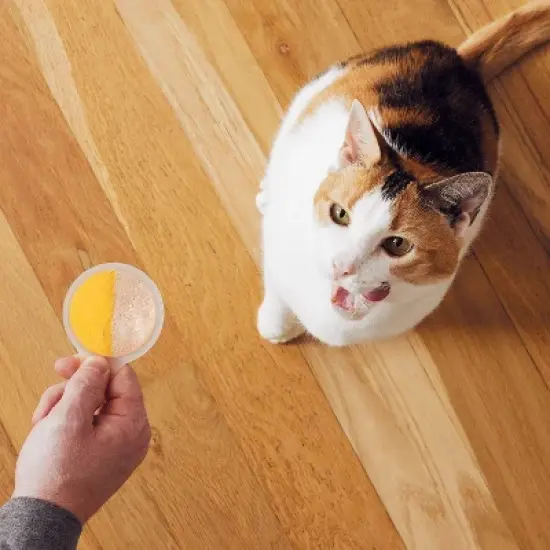 Temptations All Ages Cat Treats with Cheese and Chicken Flavor - 1.41oz/4ct image {8}