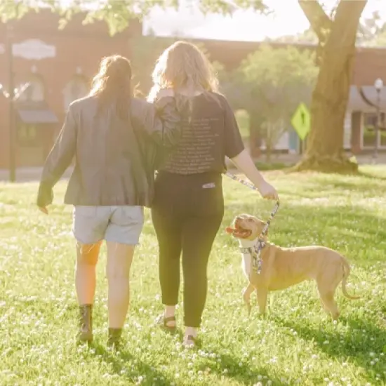 Country Brook Petz Premium Pride Dog Collar and Leash image {2}