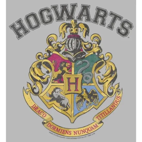 Junior's Harry Potter Vintage Hogwarts Crest T-Shirt image {1}