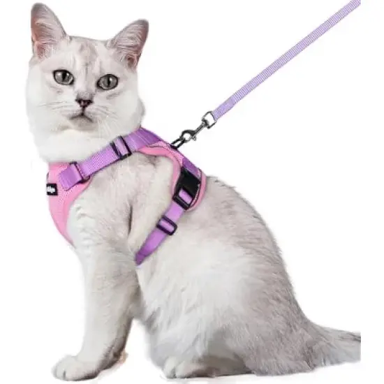 rabbitgoo Cat Harness and Leash image {7}