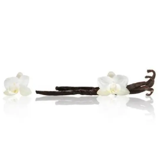 MIX:BAR Women's Hair & Body Mist - Vanilla Bourbon - 5 fl oz image {2}