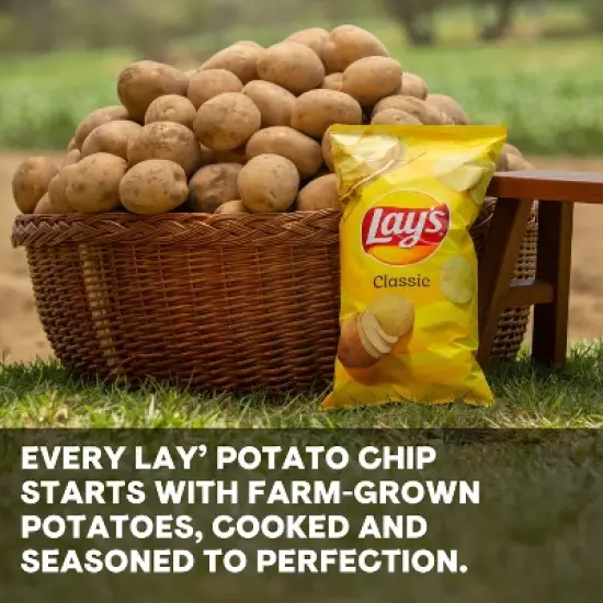 Lay's Salt & Vinegar Flavored Potato Chips - 7.75oz image {3}