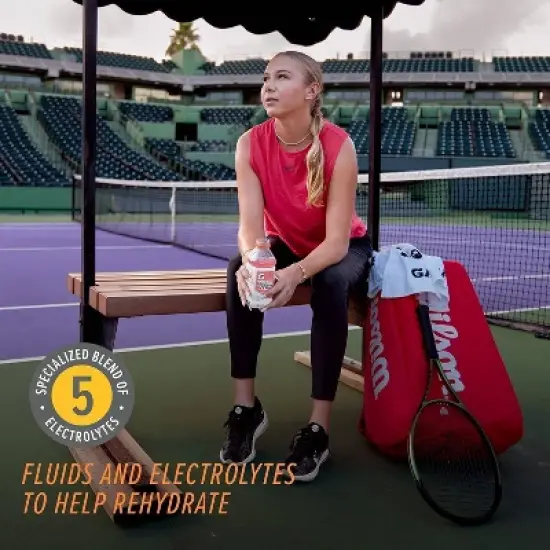 Gatorade Gatorlyte Zero Fruit Punch Sports Drink - 20 fl oz Bottle image {3}