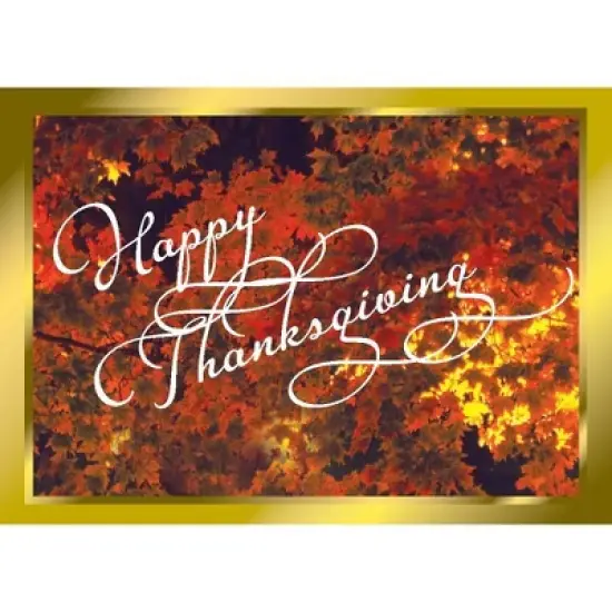 CEO Cards Thanksgiving Greeting Card Box Set of 25 Cards & 26 Envelopes - TH1101 image {1}