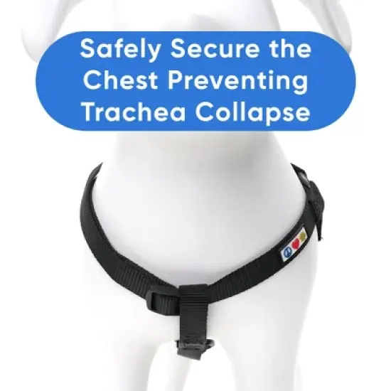 Pawtitas Solid Small Dog Harness &ETH; Durable, Adjustable, and Secure for Puppies & Dogs image {4}