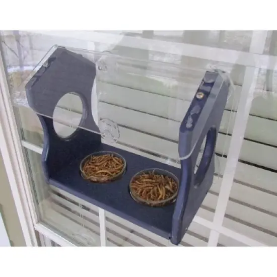 JCs Wildlife Window Mount Bluebird Mealworm Feeder image {4}