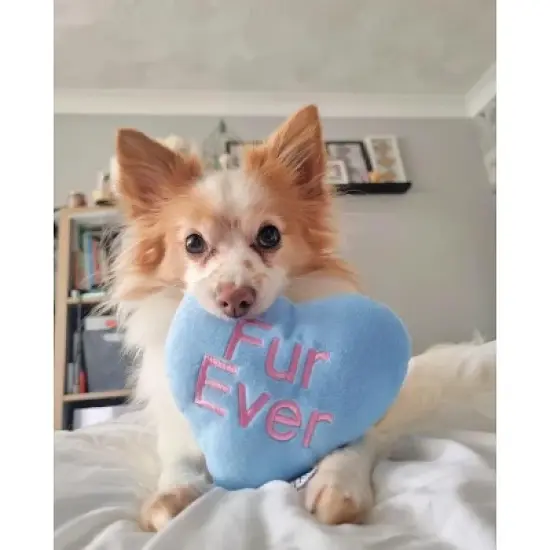 Midlee Candy Heart Valentine's Dog Toy- Set of 4 image {5}