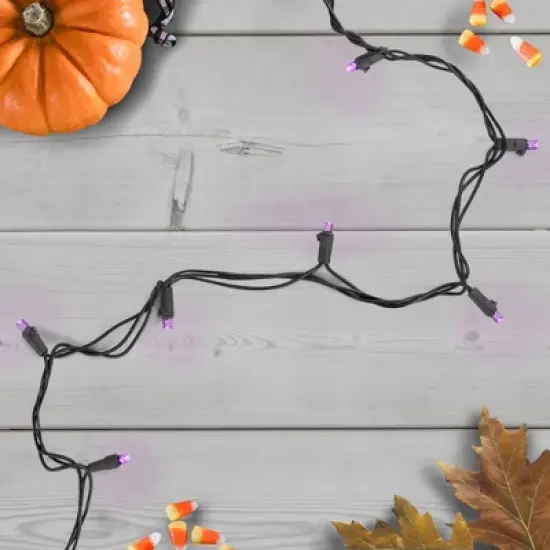 Northlight Wide Angle LED Christmas Lights - Purple - 16' Black Wire - 50ct image {1}