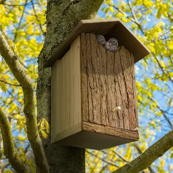 Outer Trails Japanese Cedar Wooden Owl Houses, Composite Weather Tight Roof, Bark Front image {6}