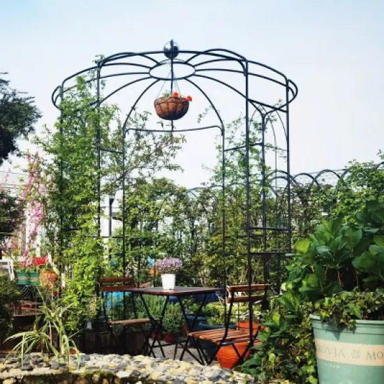 Metal Garden Arch Trellis, Birdcage-Shaped Pergola Arbour for Climbing Plants Like Roses, Vines, Clematis, Outdoor Climbers for Shade &ndash; Cuddlewood image {7}