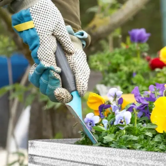 Nature Spring Raised Garden Bed and Plant Holder Kit For Growing Flowers, Vegetables, Herbs - Gray image {4}