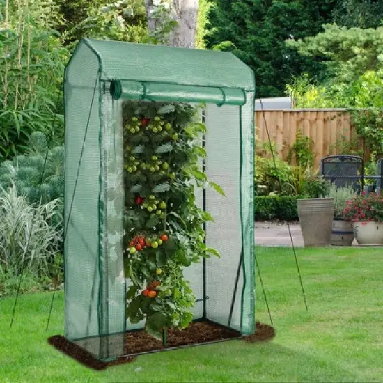 Costway 39'' x 20'' x 67'' Walk-in Garden Greenhouse Hot House Tomato Plant Warm House image {2}