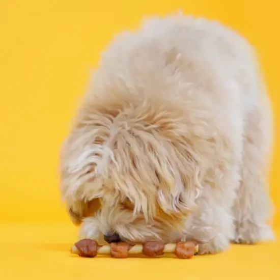 Oinkies Hartz Meat House & Veg Heart Kabobs Dog Treat with Chicken, Duck, Carrot and Sweet Potato Flavor - 8.8oz image {2}