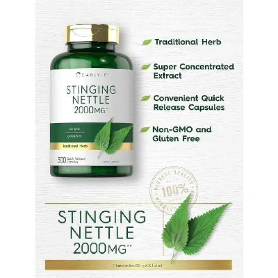 Carlyle Stinging Nettle Leaf Extract 2000mg | 300 Capsules image {2}