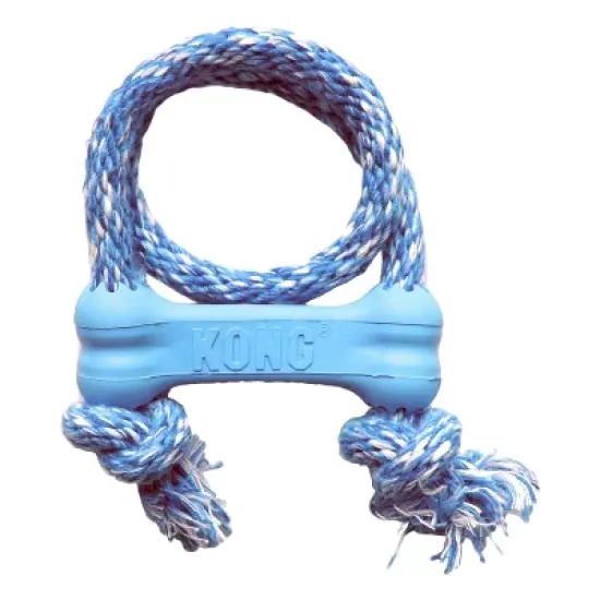 KONG Goodie Bone with Rope Puppy Toy - Blue - XS image {3}